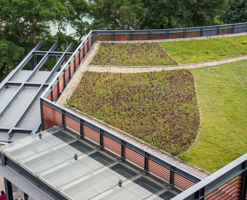 Overhead view of a green sustainable rooftop