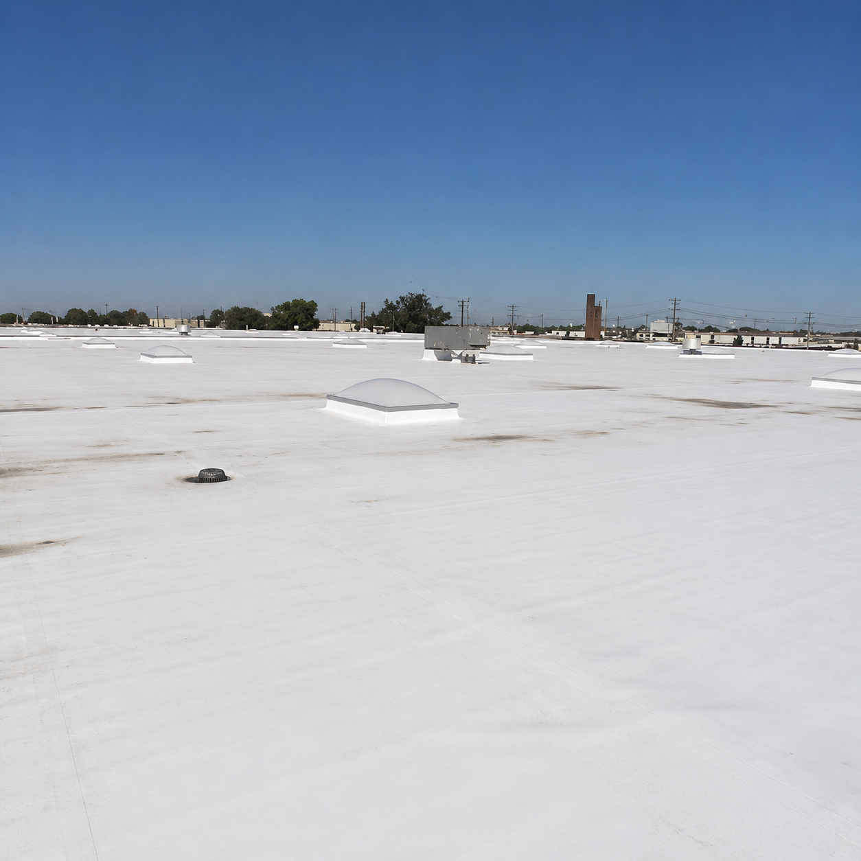 bedford park tpo roof before